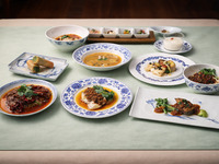 Regular dinner dinner course9,900