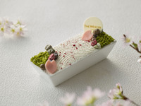  Sakura Karesansui Tiramisu