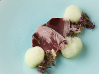 利用日限定１ドリンク付き ～シャルール～20%off メインは三河豚 　5品＋食後のお飲み物   