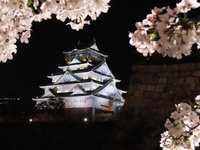 【観桜ディナー2026／JFRカード会員様】大阪城 西の丸庭園の夜桜と春の味覚を楽しむ限定ディナーコース