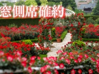 【窓側席確約】レッドローズガーデン入場券付きスーパースイーツビュッフェ～～ 