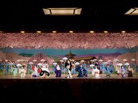 [April 1st to 30th] Special lunch plan with Miyako Odori viewing ticket