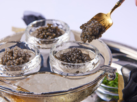 （3/1〜）【数量限定】FRESH BELUGA CAVIAR FLIGHT 3 regions-フレッシュベルーガ キャビアフライト （3種 / 各15g）-