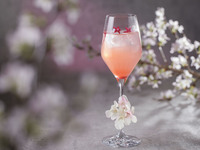 ❀Sakura × Strawberry❀ Cherry Blossom Viewing Strawberry Weekday Afternoon Tea