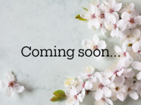 【割烹カウンター限定】春の体験型和フタヌーンティー