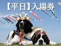 Admission ticket (weekdays)