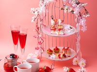 Until April 12th [Lunch with Afternoon Set] A delicious appetizer platter + a choice of five main dishes + a seasonal afternoon set | Luxury Lunch (Lunch + Afternoon)