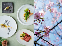 ❀桜の窓際席・11時入店で2.5時間滞在カフェフリー❀桜香るスパークリングワインで乾杯！国産ブリマサのグリルや水郷赤鶏と桜葉のコンフィ、国産真鯛のポワレや国産SAKURAビーフのフィレ肉を堪能するシェフ特選コース全7品‐CHEF’S‐