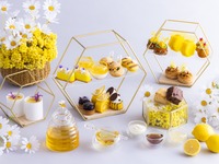[Limited to 10 people / Three-part session ③16:00-18:00] "Honey Lemon Holic Afternoon Tea"
