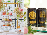 平日『初夏のいちごと抹茶のアフタヌーンティー』  ※ティーセレクション