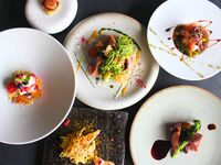 【ランチコース】鎌倉の旬を五感で味わうシェフのおすすめフルコース 全6品