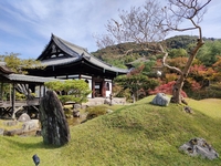 高台寺拝観付 ハーフコースランチ全4品（5/1～）