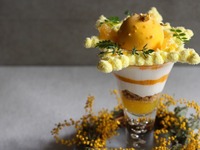 【3月/1日12食限定】“ミモザティラミスパフェ” -15:00来店-