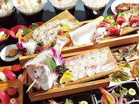 Spring Sashimi Course with Fishing 5,500 yen (tax included)