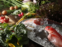 ゴールデンウィーク　シェフのお任せディナー（メインディッシュチョイス）4/28～5/11