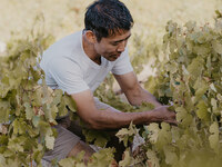 [Cage Wine] Winemaker visits Japan for pairing dinner