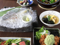 【平日限定】福岡フェアコース　1,0000円