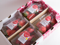【3月】いちごの里感謝パック（250g×4パック入り）