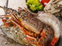 Dinner Lobster Course (10 dishes) ¥11,000