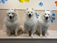 [Limited to 10 people] Three Brothers Birthday Event Ticket