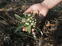 春のショートコース　～土の深呼吸～