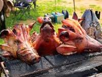 【特別体験メニュー】沖縄直送アグー豚のかしら丸焼き