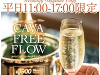 カヴァ　フリーフロー（平日11時～17時限定）