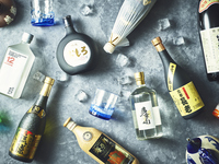 フェスティブ・アワモリナイトプラン*