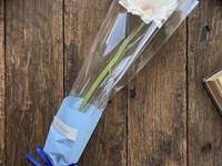 ホワイトデー限定フラワー