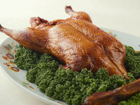 ★個室2時間利用★ 魅惑の新コース  精選10,000円