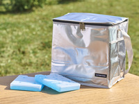 クーラーバック　24L　保冷剤2個付き