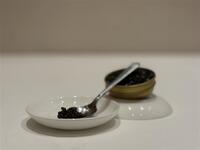 キャビア特別コース