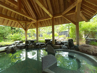 ランチビュッフェ+日帰り入浴付（大人）＜4500円＞　2026年4月1日～