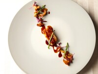 【ディナー】個室確約　Degustation course