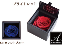アニバーサリープラン“Rose”   【B. ダイヤモンドローズ（赤／ピンク／青／ゴールド）】