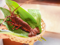 Lunch SPECIAL course