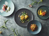 [4/25~5/6] Dinner course (4 dishes)