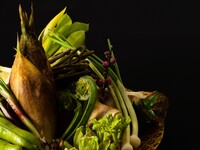 星のなる木（ほしのなるき）＜テーブル席＞