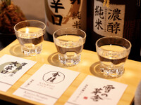 Flight Set (3 types)