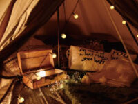 期間限定🌸3月28日～4月12日迄🌸桜の木の下BBQ🌸S1【宿泊★テント＋BBQ】TFG特選牛肉5種（16:30チェックイン 翌朝9:00チェックアウト）