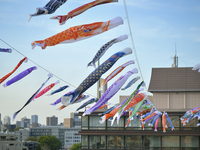 Boys' Festival celebration