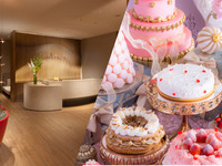 【Wellness & Gourmet Escape】50‑Minutes Body Spa Treatment + Sweets Buffet