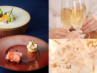 桜の季節限定❀～Wメインを楽しむディナーコース全5品～