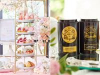 【土日祝日夜限定！】パスタディナー付き桜と苺のアフタヌーンティ≪乾杯酒込み≫