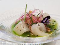 Ichi ディナーコース　-旬の魚介と季節のお料理【全8品】