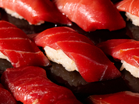 Short Omakase (16 Courses) / Unlimited Sake Pairing