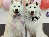 Birthday event ticket (50 minutes)