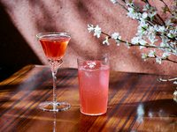 ----------🌸 Seasonal Sakura Cocktail 🌸----------