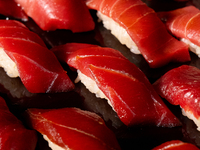 OMAKASE Short Course (16 dishes total) / Unlimited sake pairing