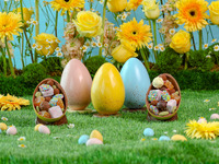 Easter Chocolate Eggs